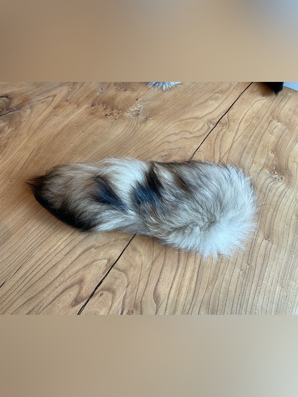 Genuine Finn Raccoon Fur Tail in reddish brown and black
